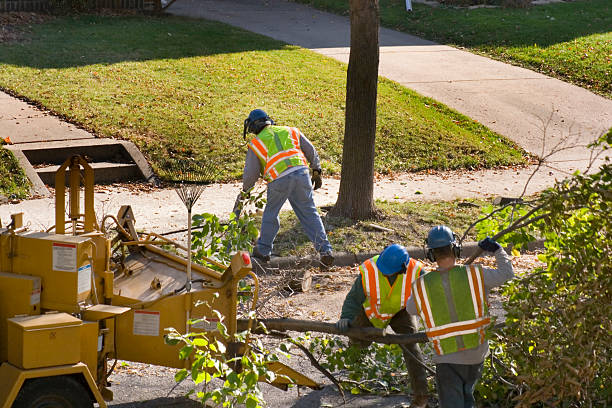 Best Lawn Watering Services  in Hideaway, TX